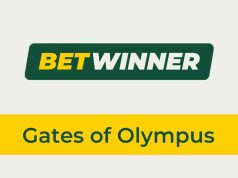 Betwinner Gates of Olympus